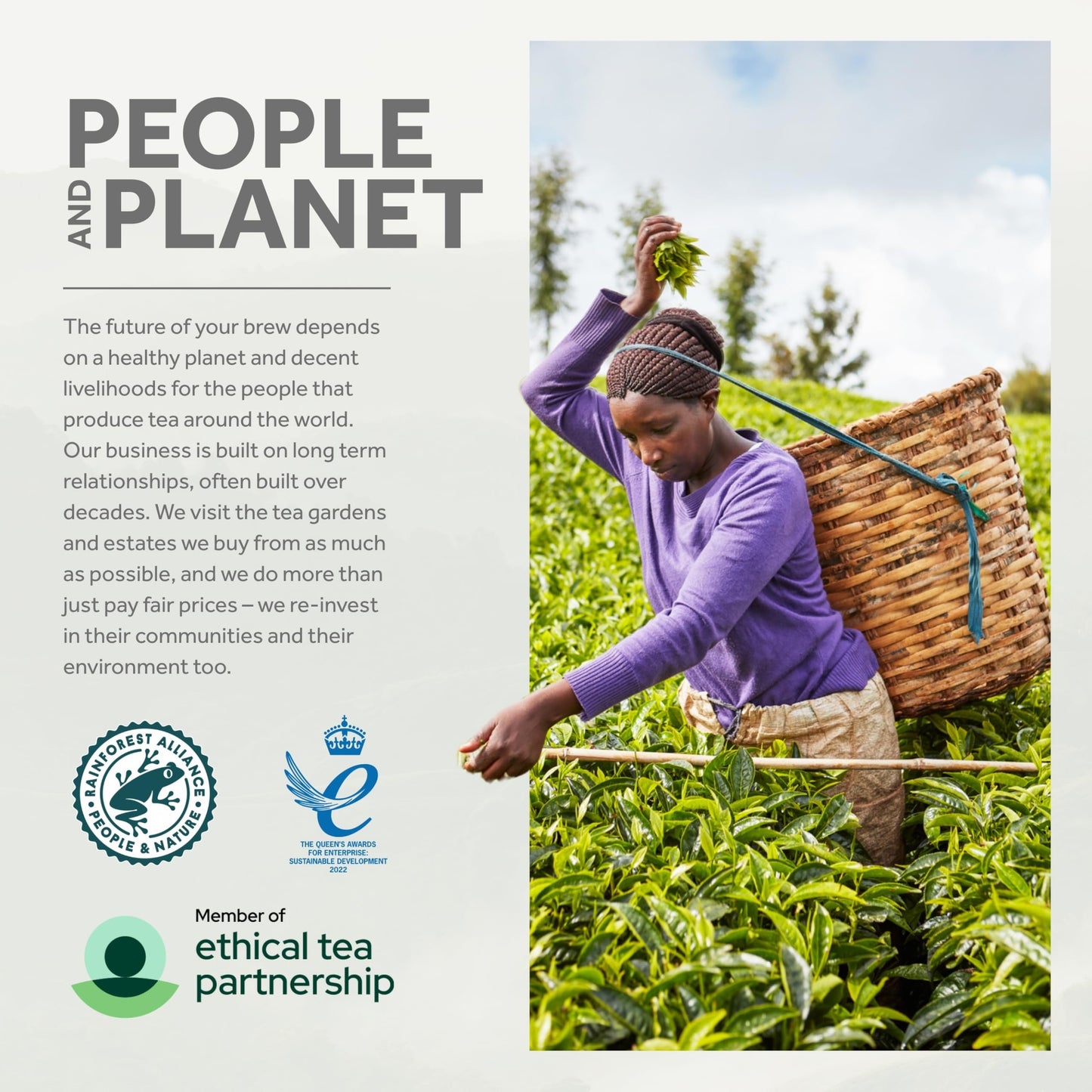 Yorkshire Tea, 200 Individually Wrapped & Tagged Tea Bags