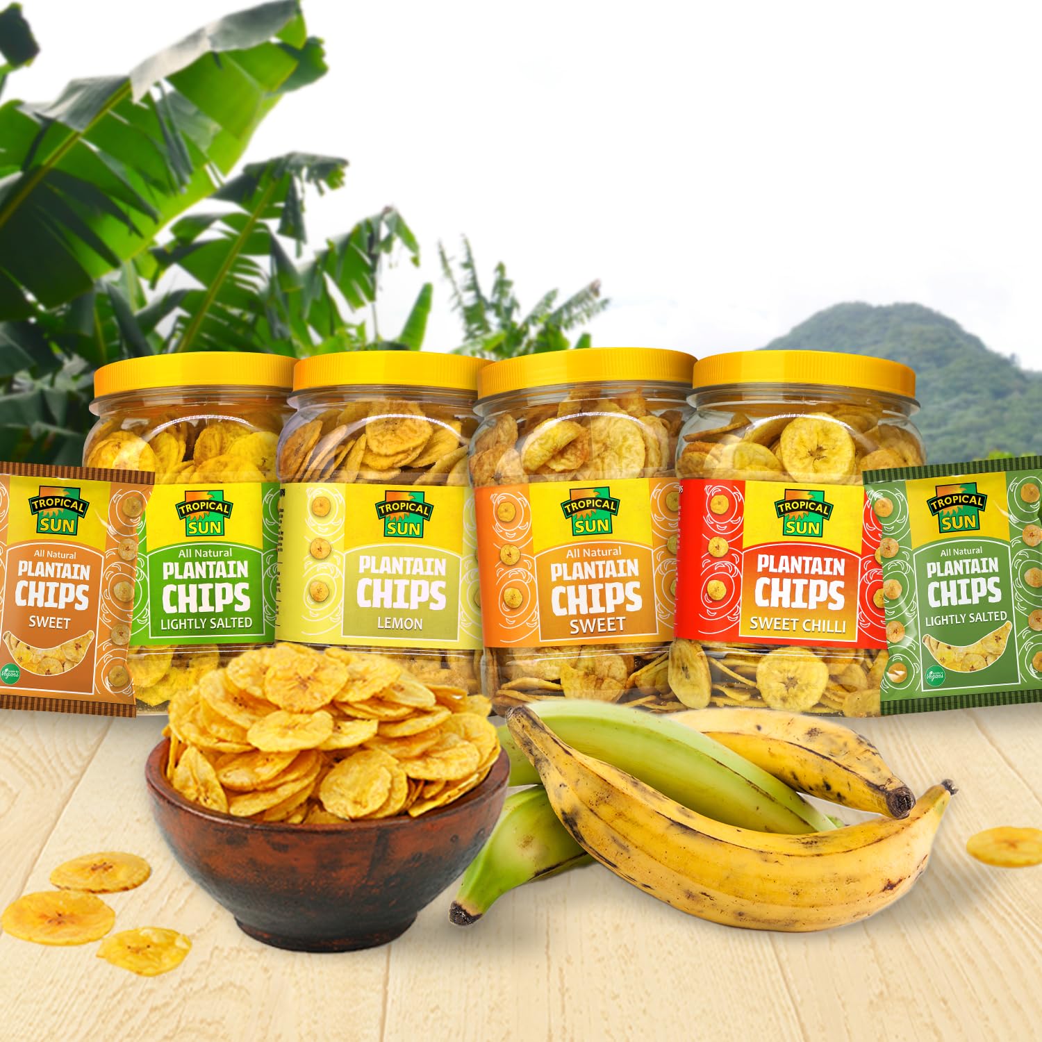 Tropical Sun Salted Plantain Chips, 450g (Pack of 1) - GLOXMART