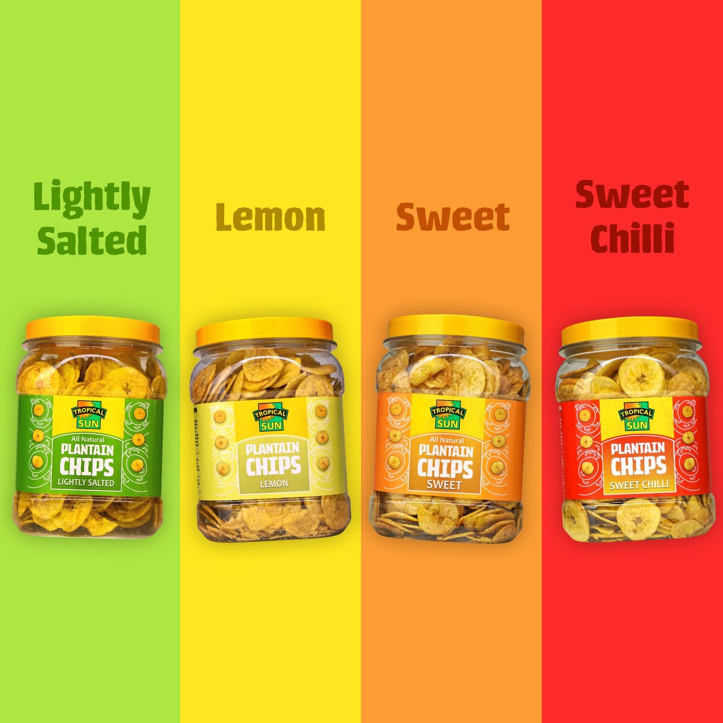 Tropical Sun Salted Plantain Chips, 450g (Pack of 1) - GLOXMART