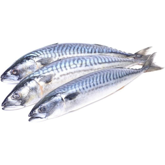 Frozen Whole Mackerel Fish (1kg)