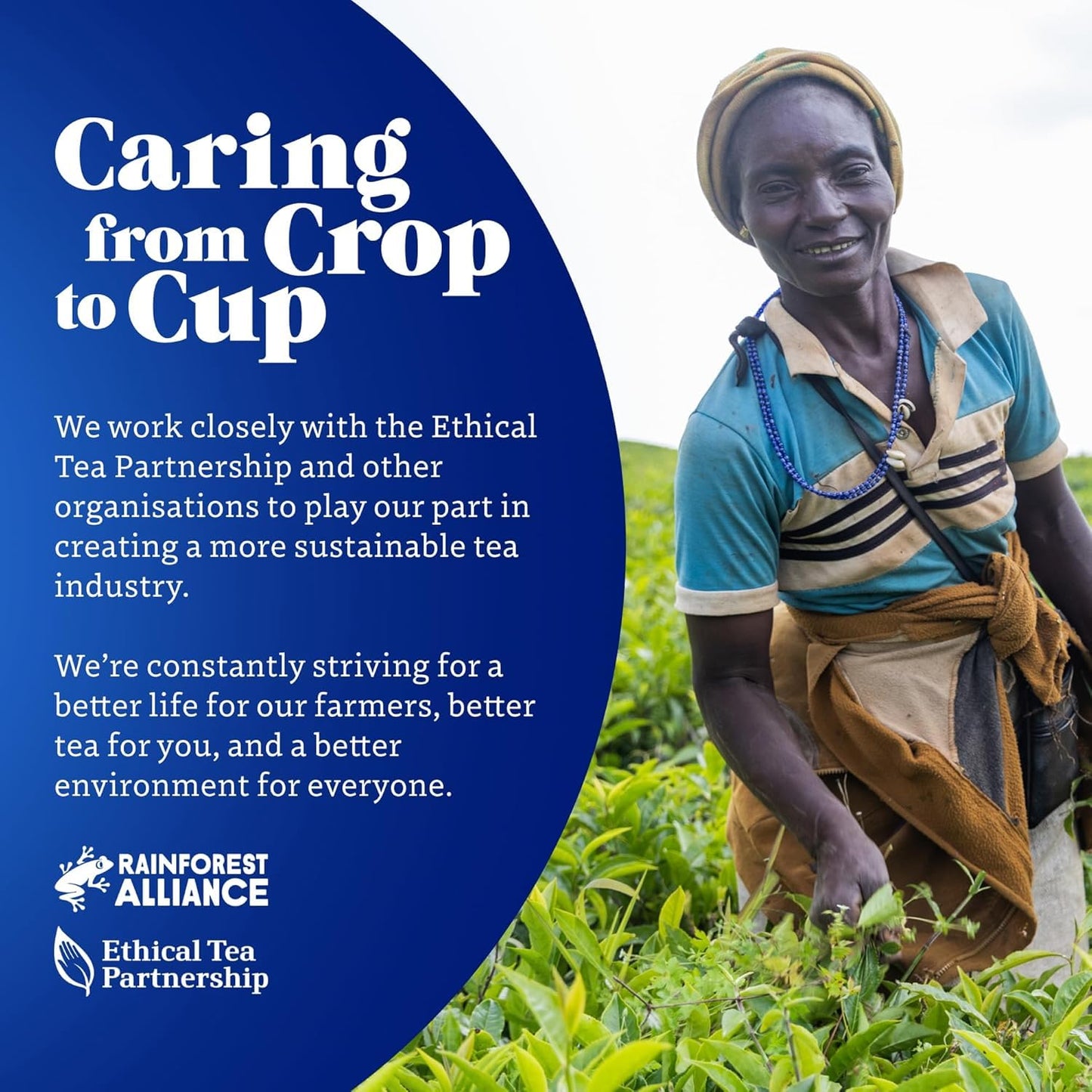 Tetley Original Black Tea Bags - Full Flavoured British Brew - Perfect for Breakfast or Anytime - Rainforest Alliance Certified - 160 Teabags (1 Pack)