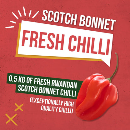 Fresh Scotch Bonnet Chillies 1kg - Vegan, Very Hot and Spicy, Fresh Red Scotch Bonnet Chillies from Rwanda for Cooking